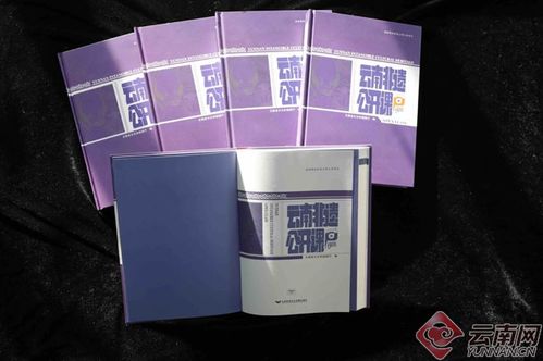 古韵新传 云南非遗公开课音像制品全国发行